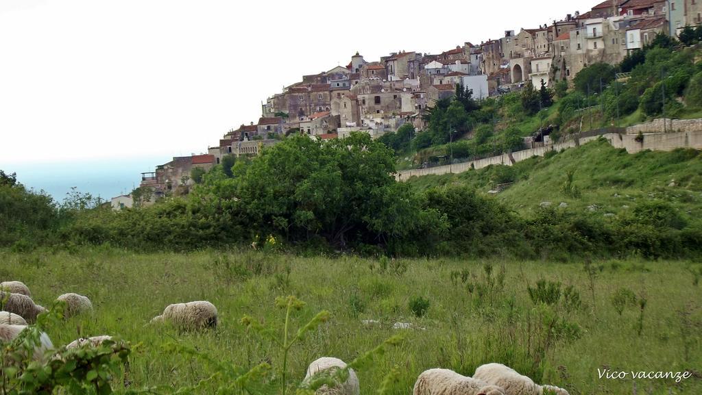 B&B Vico Vacanze Vico Del Gargano Bagian luar foto